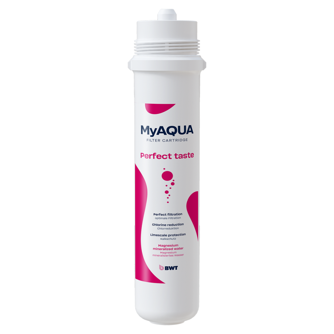 125558004-С Фильтр BWT MyAQUA Perfect Taste